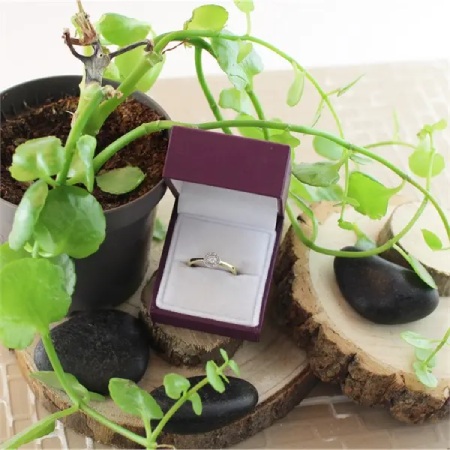 F.Hinds 9ct Gold Diamond Halo Cluster Ring