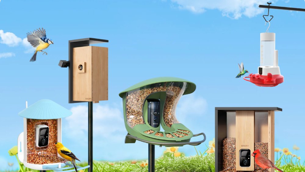 A Birder's Dream: Exploring the World of Birdfy Smart Feeders