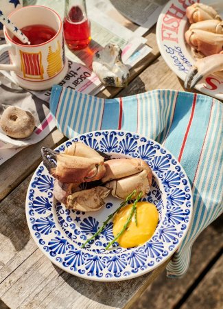 Emma Bridgewater Blue Shells