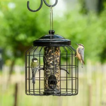 CJ Wildlife Brussels Guardian Caged Bird Seed Feeder