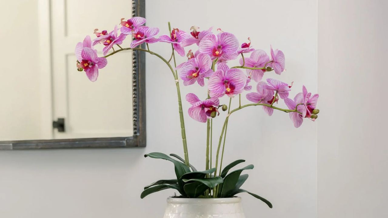 Elevating Your Space with Faux Decor: The Story of CG Hunter