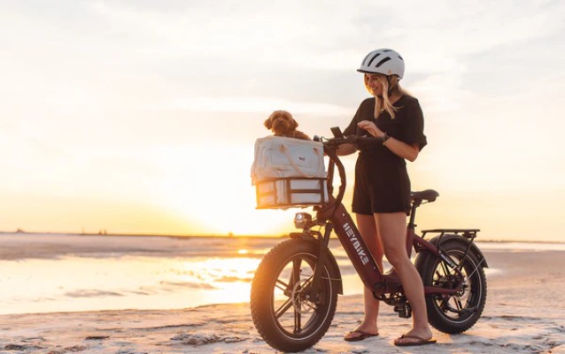 Folding Ebikes