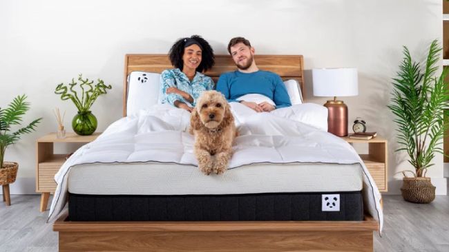 Panda Mattresses