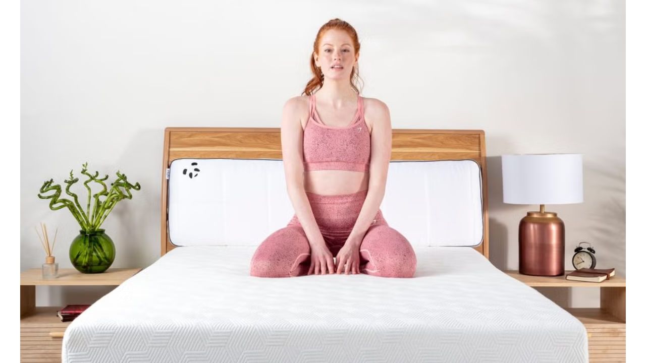 Experience the Dream: A Deep Dive into Panda London's Bamboo Brilliance