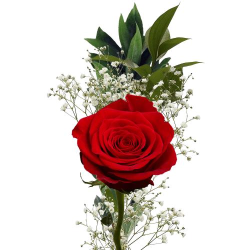 Single Red Roses & Fillers