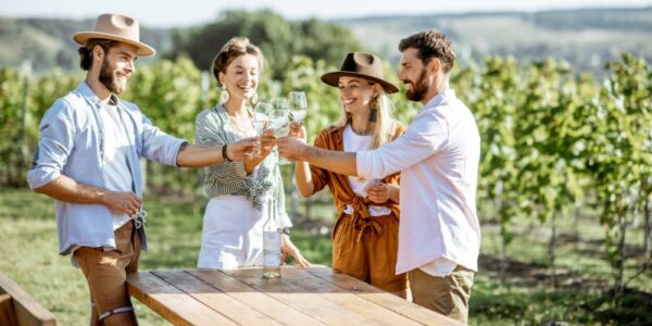 Discover New Deals for Yarra Valley and Mornington Wineries Tours | Ami Tours