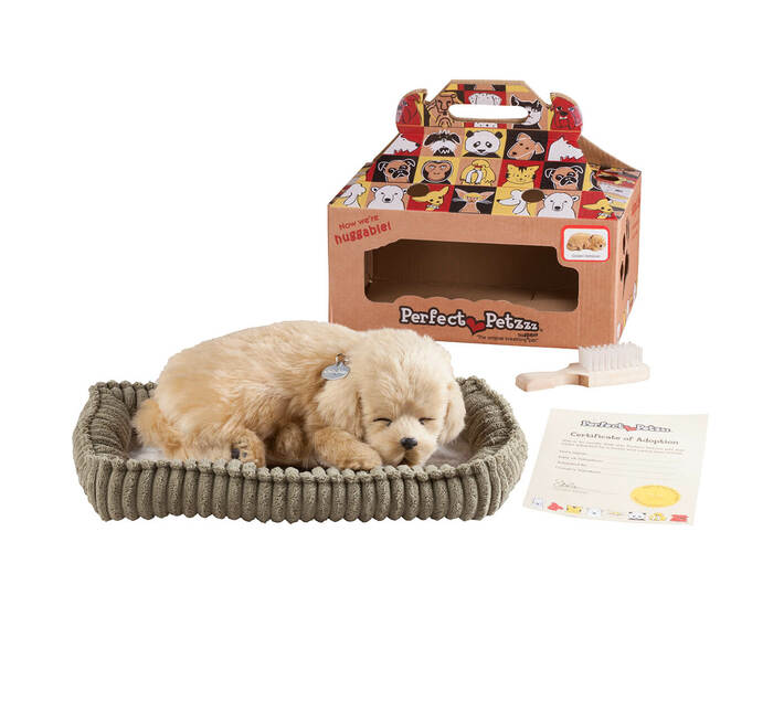 Perfect Pets UK Discount Code 2024