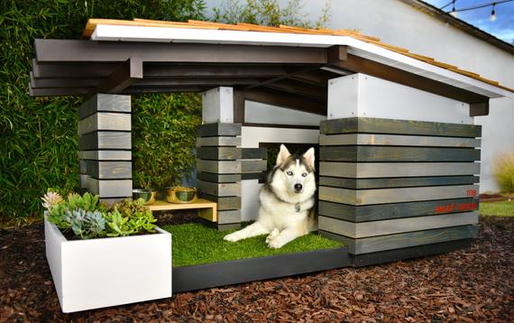 Pet House Australia Discount Code 2024