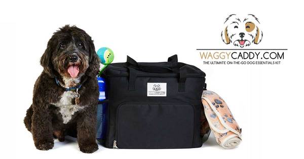 WaggyCaddy Discount Code 2024