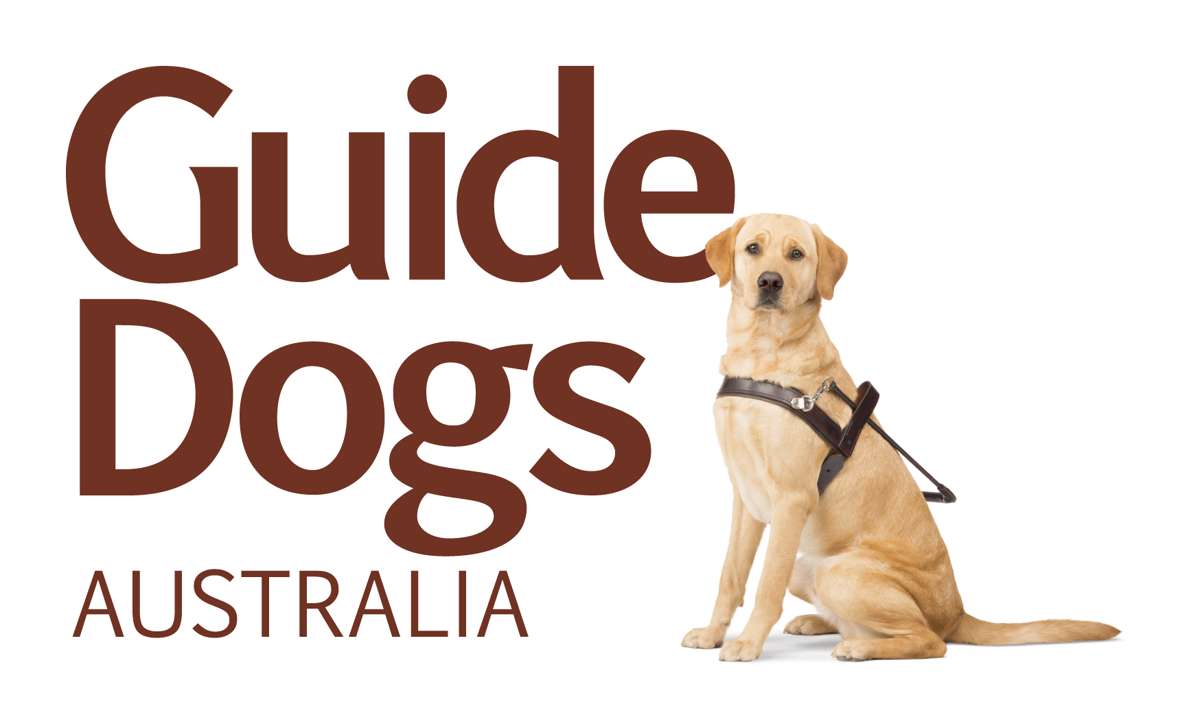 Guide Dogs Shop UK Discount Code 2025