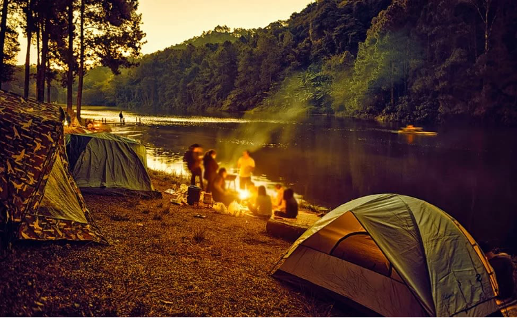 A group of friends camping